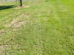 Fred S.'s Lawn Care service result