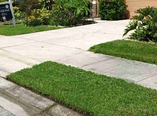 Maximiliano G.'s Lawn Mowing service result