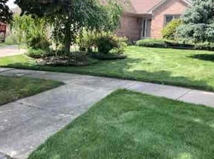 Andrea B.'s Grass Cutting service result