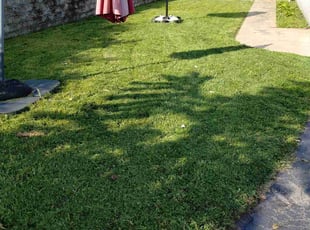 Samantha L.'s Grass Cutting service result