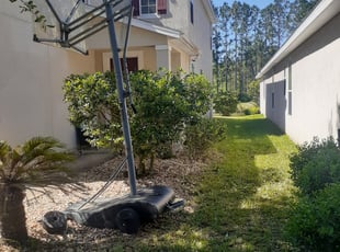 Bush Trimming by Michael Peterson for Ronda A. in Orange Park, FL