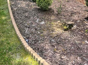 Weeding by Caitlin Hough for Truc C. in Holly Springs, NC