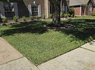 Kim d.'s Lawn Maintenance service result