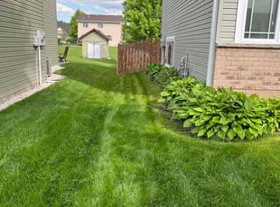 Correy E.'s Lawn Maintenance service result