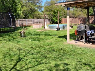 Angel D.'s Lawn Care service result