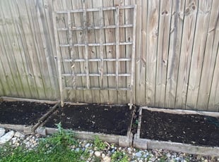 Weeding by Mario Eberhardt for Kelsey G. in Cincinnati, OH