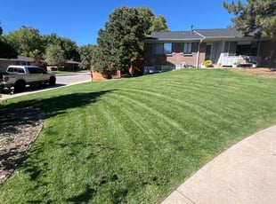 Keith S.'s Lawn Service service result