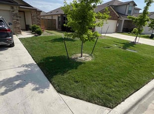 Jeff B.'s Lawn Mowing service result