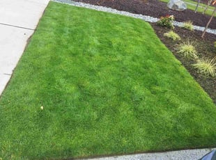 Joseph D.'s Lawn Care service result