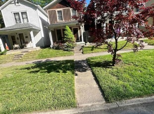Darlene G.'s Yard Cutting service result