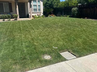 Chris A.'s Lawn Care service result
