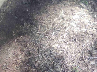 Cleanups by Laura Olivares for Brittany B. in Lenexa, KS