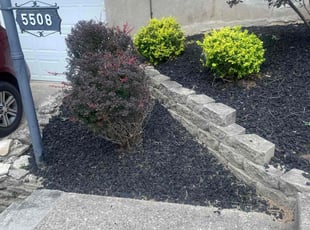 Weeding by James Abernathy for Melissa T. in Cincinnati, OH