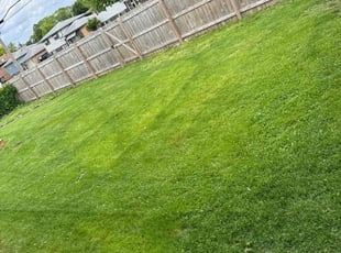 Moises V.'s Lawn Care service result
