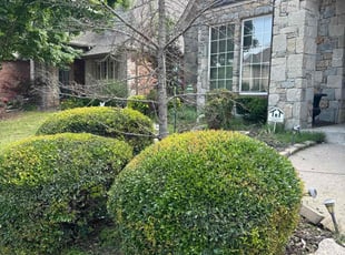 Bush Trimming by M D for Siqian L. in Tulsa, OK