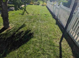 Gene E.'s Lawn Maintenance service result