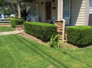 Bush Trimming by Thomas Murray for Brandon C. in Charlotte, NC