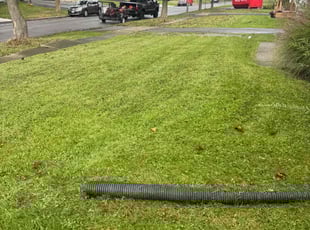 Alfredo C.'s Lawn Mowing service result