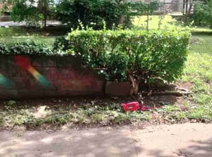 Bush Trimming by Ronald Bell for Derek L. in Kansas City, MO