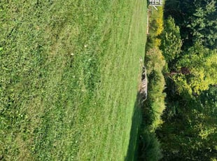 Paris H.'s Yard Cutting service result