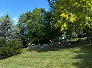 Wanda F.'s Yard Cutting service result