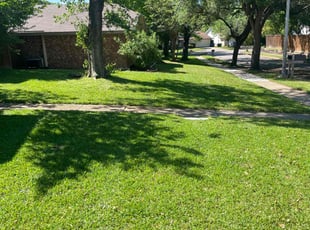 Dominique J.'s Lawn Service service result
