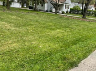 Joey B.'s Lawn Care service result