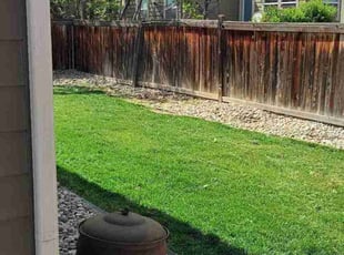 Paul P.'s Lawn Service service result