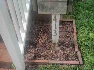 Weeding by Willie Williams for Ryan Z. in Norfolk, VA