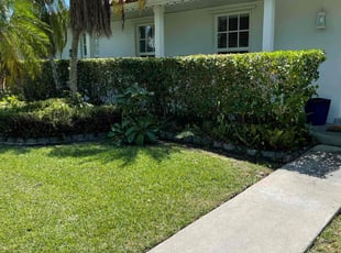 Bush Trimming by Kenneth Swayne Jr for Brian W. in Miami, FL