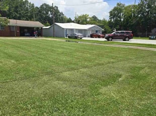 Lisa H.'s Lawn Maintenance service result
