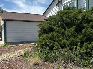 Bush Trimming by Joshua Hines for Richard J. in Aurora, CO