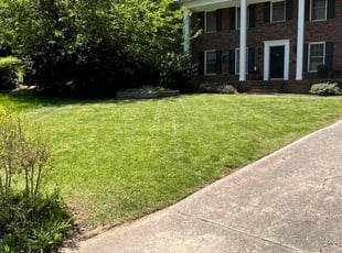 Jessie L.'s Lawn Maintenance service result