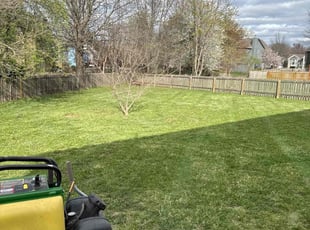 Anthony S.'s Lawn Service service result