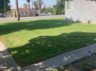 Phyllis M.'s Yard Cutting service result