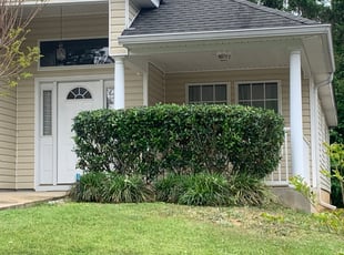 Bush Trimming by Brandon Langworthy for Janet R. in Tallahassee, FL