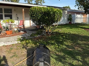 Bush Trimming by Deron Bethel for Shantel P. in West Palm Beach, FL