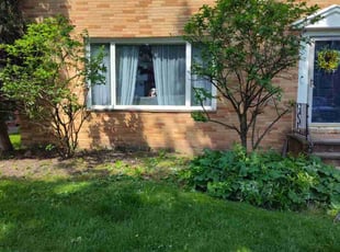 Bush Trimming by Rayshawn Martin for Isaac Y. in University Heights, OH