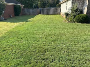 Linda H.'s Lawn Mowing service result