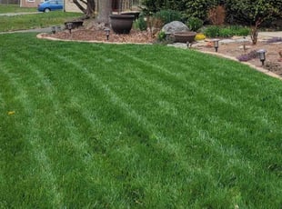 Wade S.'s Lawn Care service result