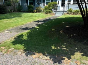 Thomas D.'s Lawn Mowing service result