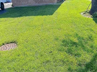 Elton C.'s Lawn Mowing service result