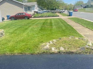 Patricia T.'s Lawn Mowing service result