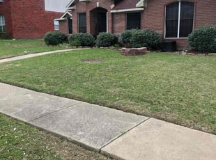 jeff c.'s Yard Cutting service result