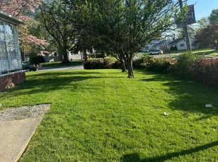 George O.'s Lawn Mowing Service service result