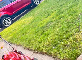 Bush Trimming by Stephon Johnson for Donna C. in Dearborn Heights, MI