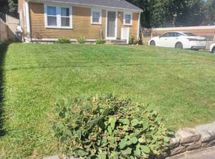 Samuel G.'s Lawn Mowing service result