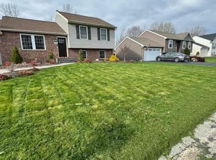 Celestine H.'s Lawn Service service result