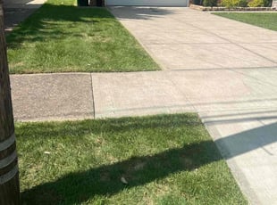 Charlene W.'s Yard Cutting service result