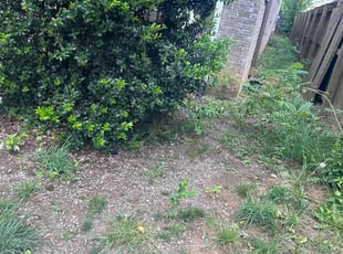 Bush Trimming by Andre Hunt for Ally D. in Richmond, VA